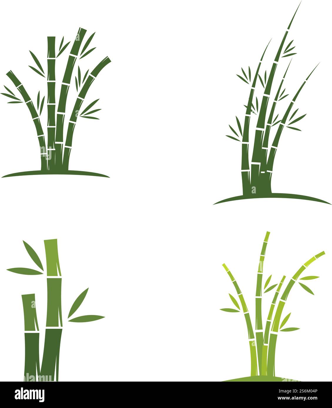 Bamboo with green leaf logo ilustration vector template Stock Vector