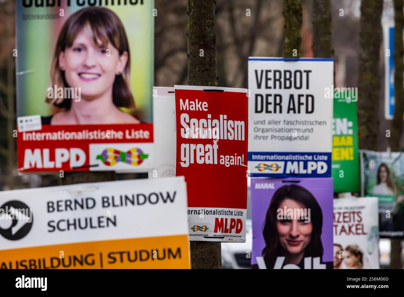 Wahlplakate zur Bundestagswahl 2025 in Heilbronn. BTW25. Die Partei