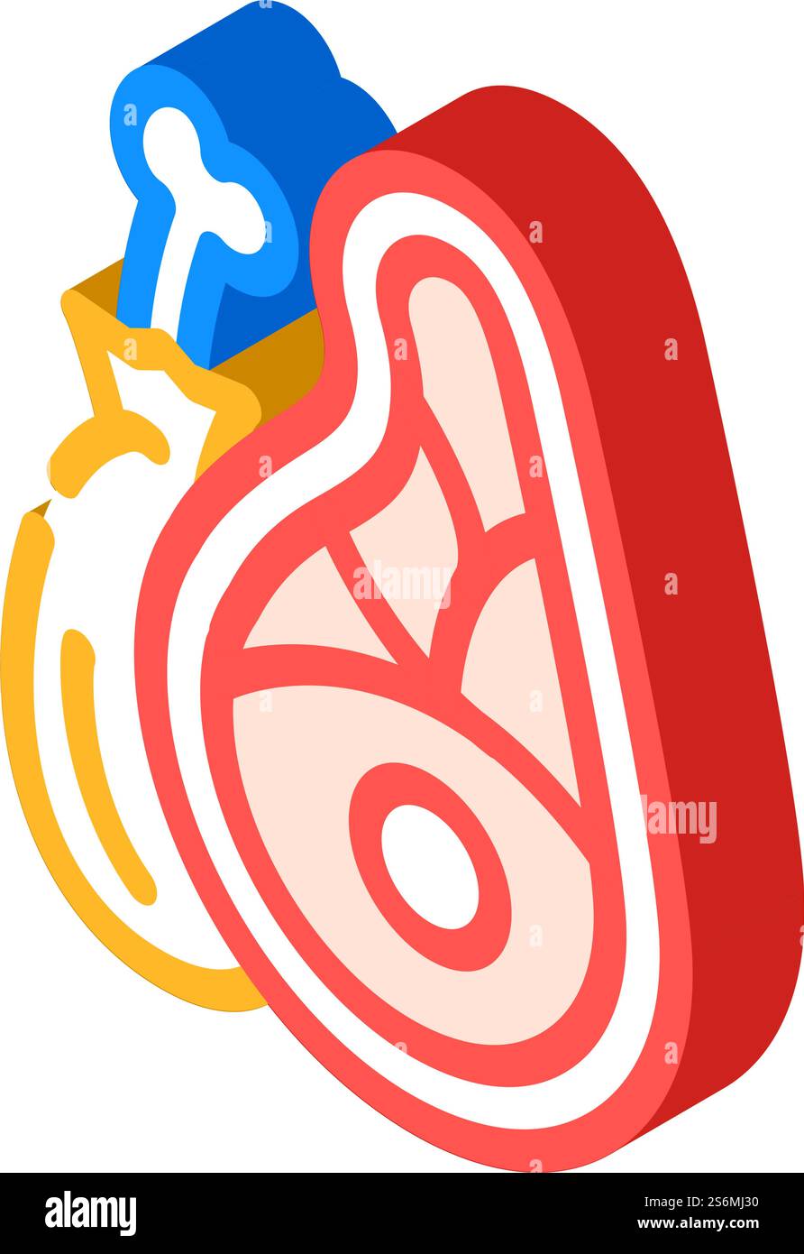 meat product isometric icon vector. meat product sign. isolated symbol ...