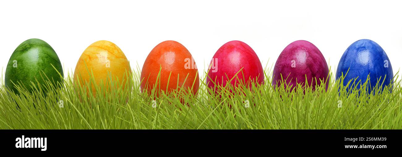 Easter eggs Stock Photo