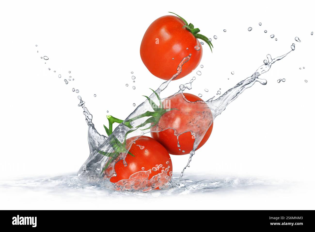 Tomatoes Stock Photo