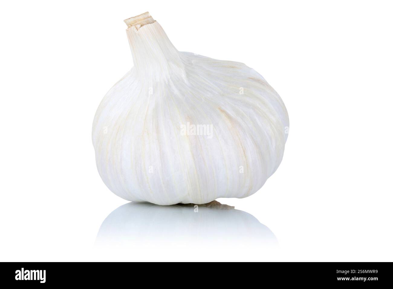 Garlic healthy spice cropped cropped isolated in front of a white background Stock Photo