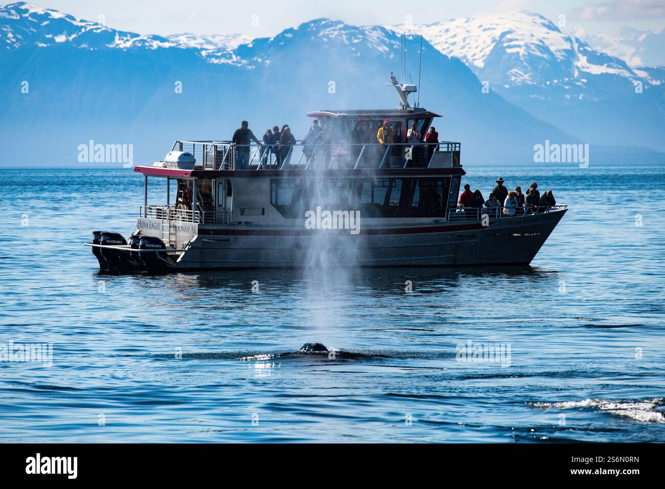 Alaska glacier bay whale hi-res stock photography and images - Alamy