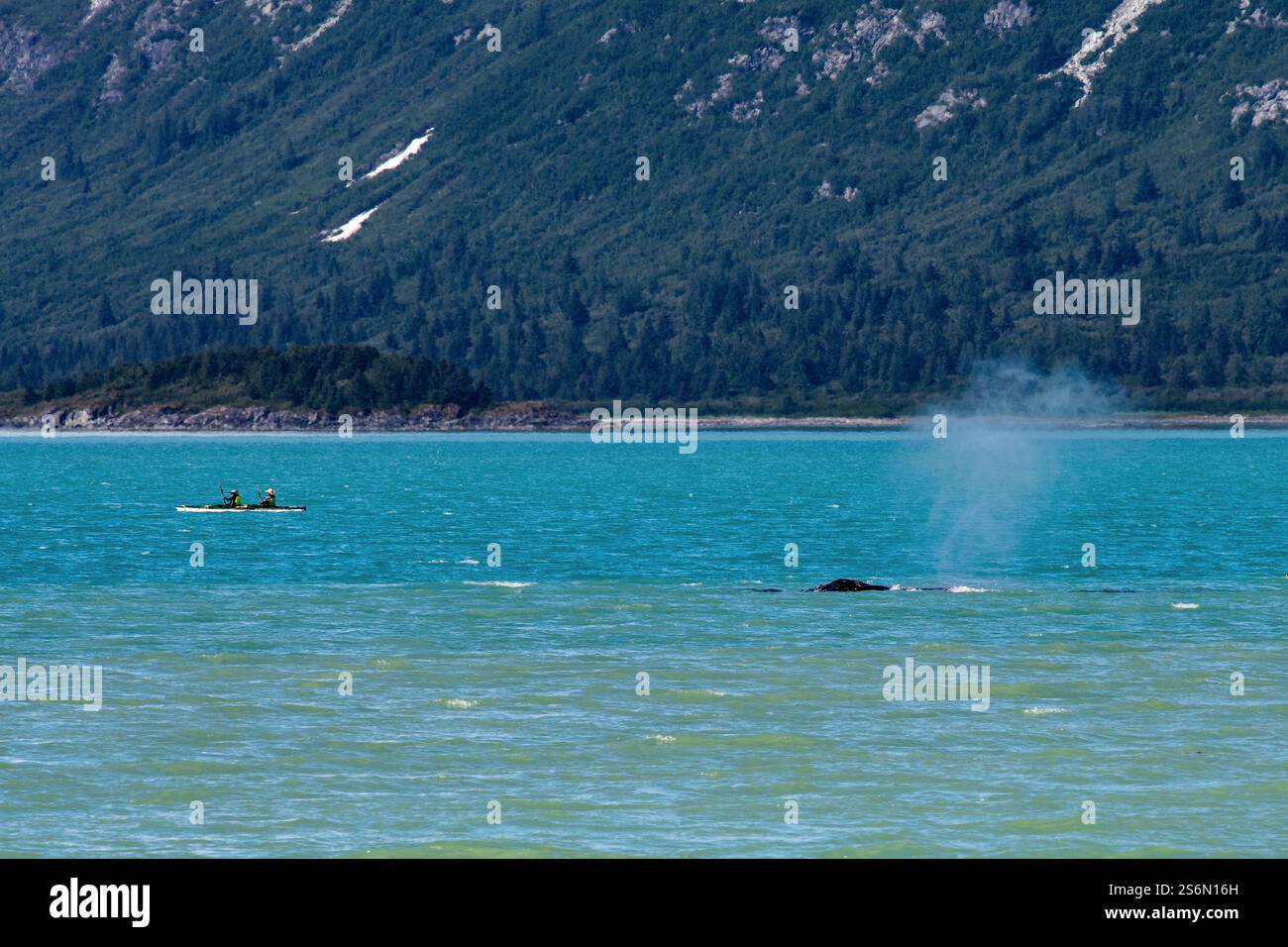 Glacier next ocean alaska hi-res stock photography and images - Alamy