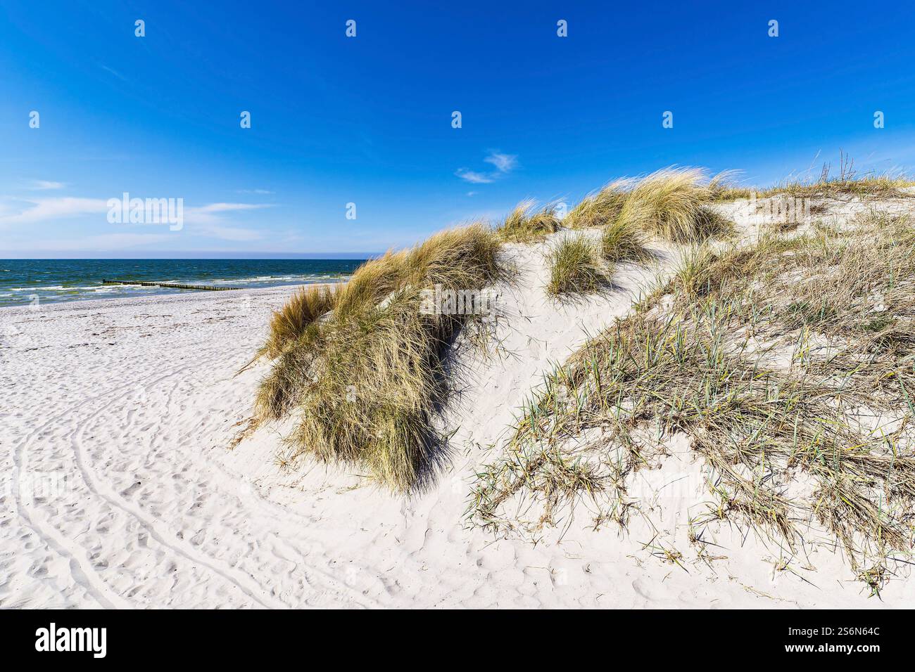 Beach in Vitte on the island of Hiddensee. Stock Photo