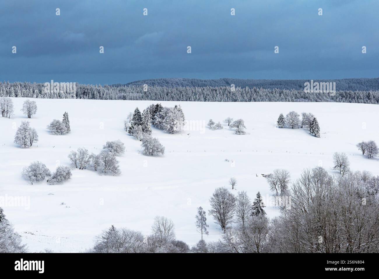 Landscape in winter in the Thuringian Forest near Schmiedefeld am Rennsteig. Stock Photo