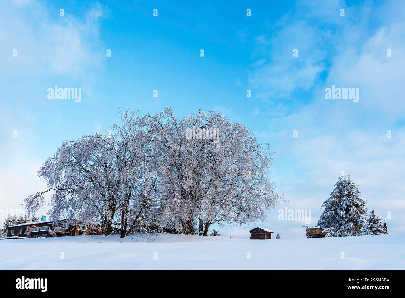 Landscape in winter in the Thuringian Forest near Schmiedefeld am Rennsteig. Stock Photo