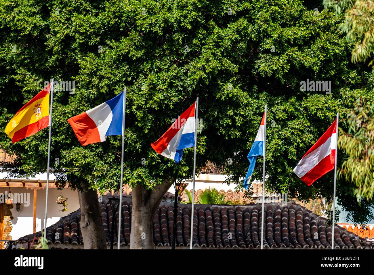 A tree with four flags on it, one of which is a red, white and blue ...