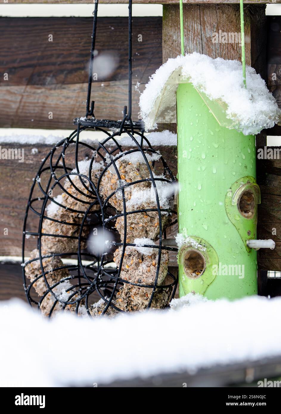 A bird feeder with a green tube and a black one with a wreath on it. The wreath is covered in snow Stock Photo