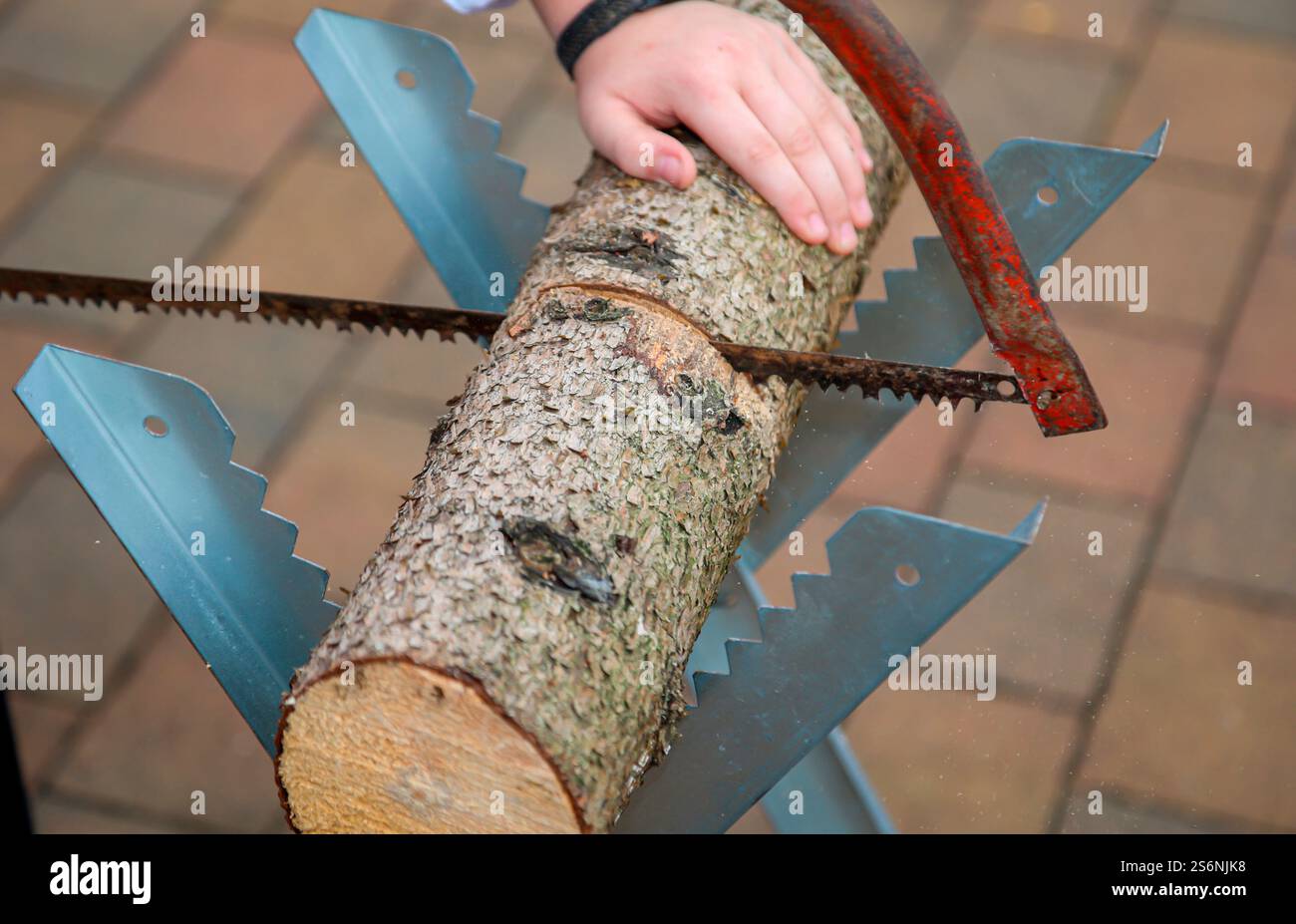 Details of a sawhorse with tree trunk and saw at a wedding Stock Photo