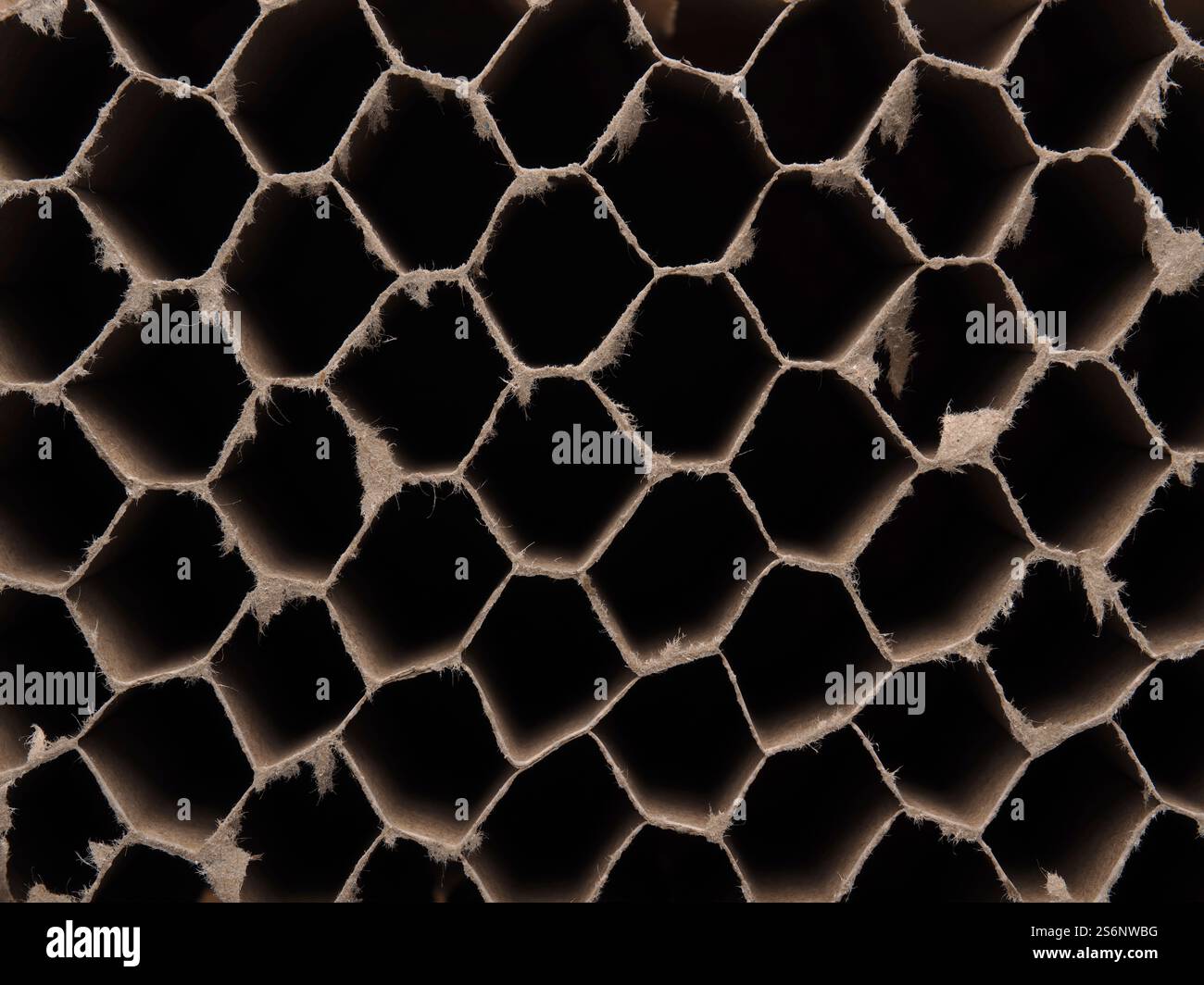 Recycled cardboard texture using as background with space for your text or image Stock Photo