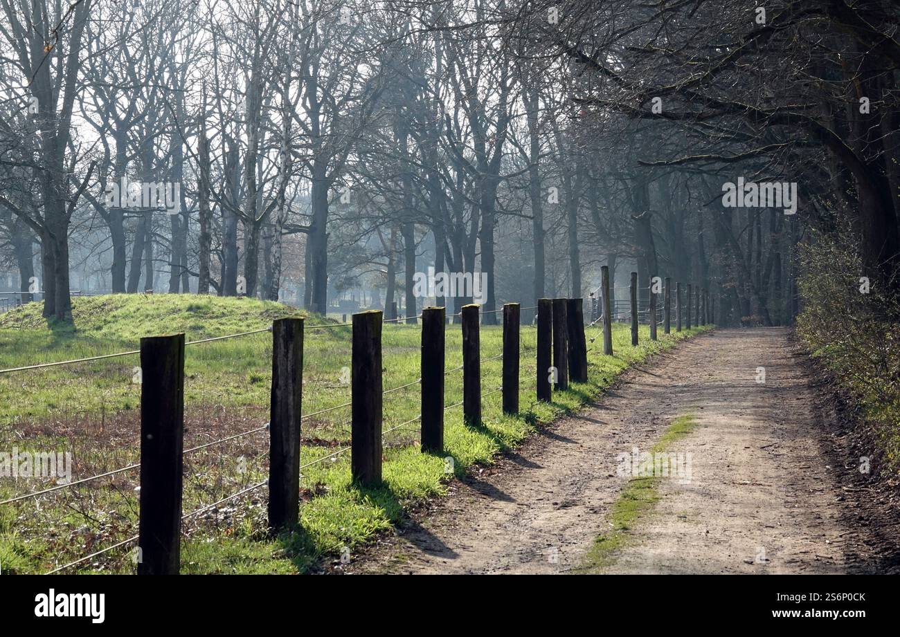 Path at the edge of the forest Stock Photo - Alamy