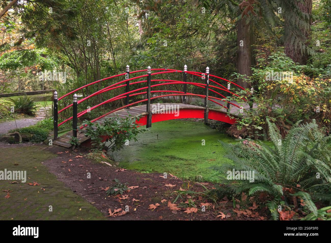 Red walking bridge over a creek in Minnekhada Regional Park, Coquitlam, British Columbia, Canada Stock Photo