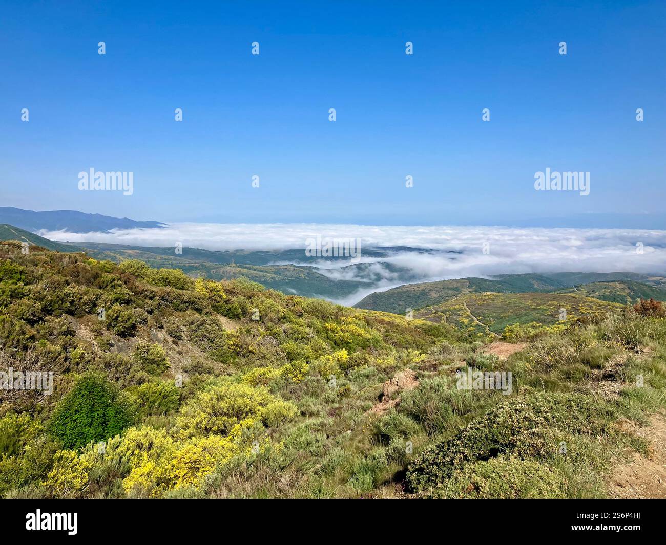 View from a Mountain with Blue Sky Above, Mist and Fog in the Valley Below - Smartphone Captured Stock Image