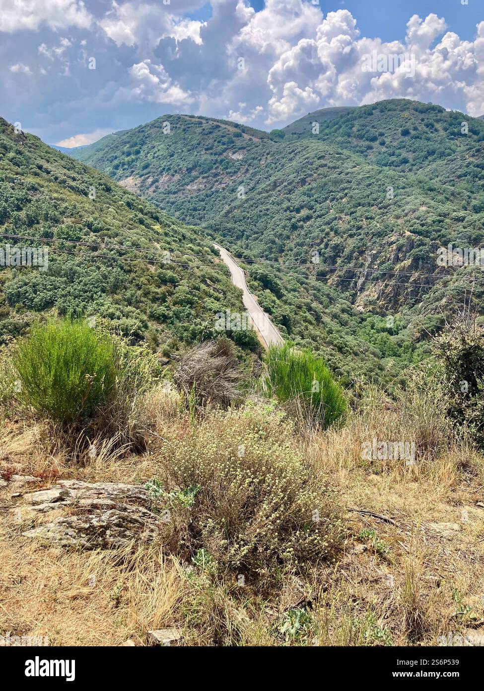 Views of Spanish Mountains with Trees, Blue Sky and Clouds: The Steep Descent from Cruz de Fierro on the Camino Francés - Smartphone Captured Stock Image