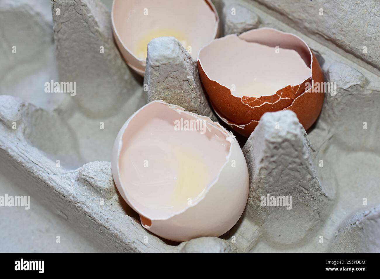 Eggshells in an egg carton Stock Photo