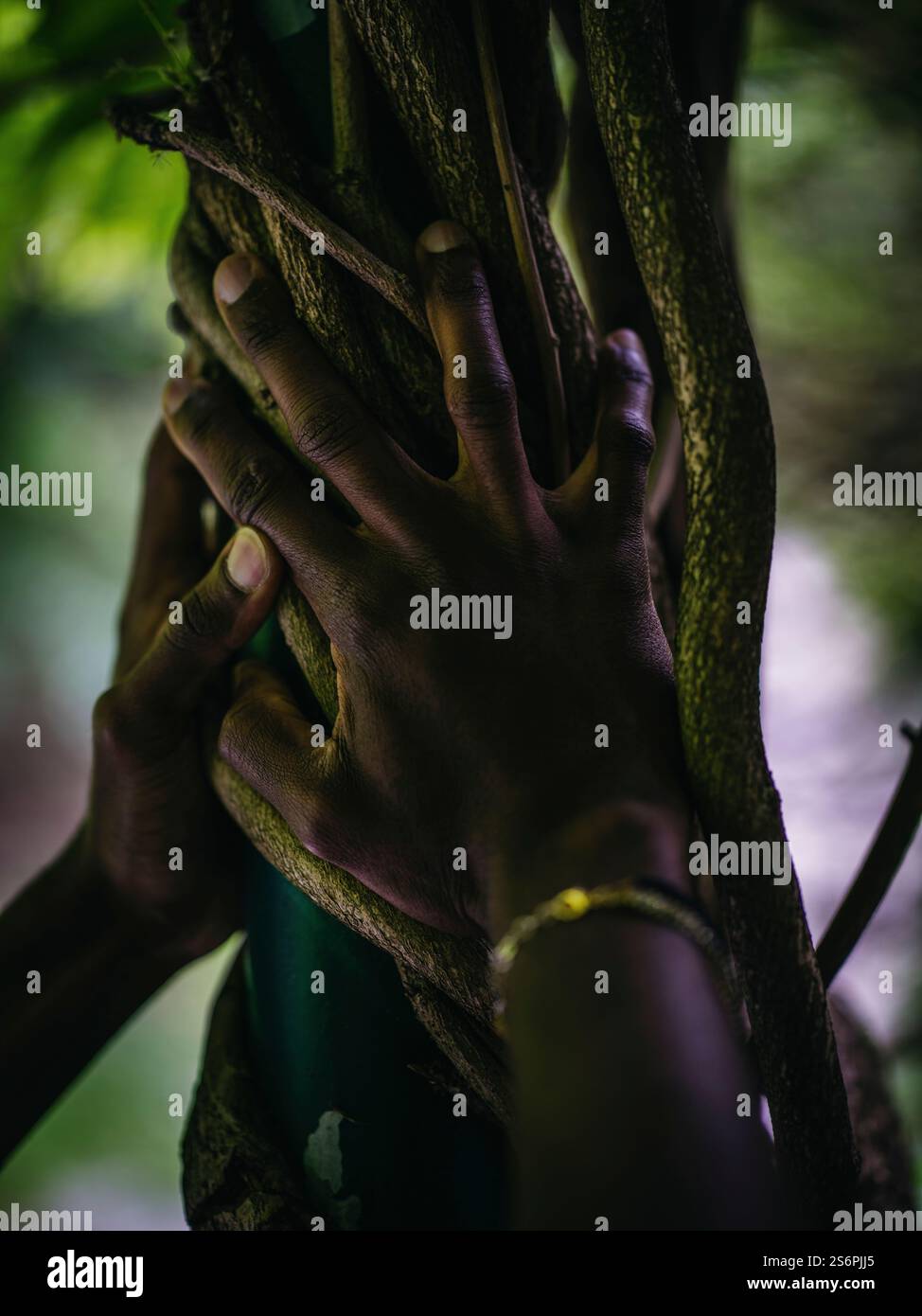 Two hands on intertwined roots Stock Photo - Alamy