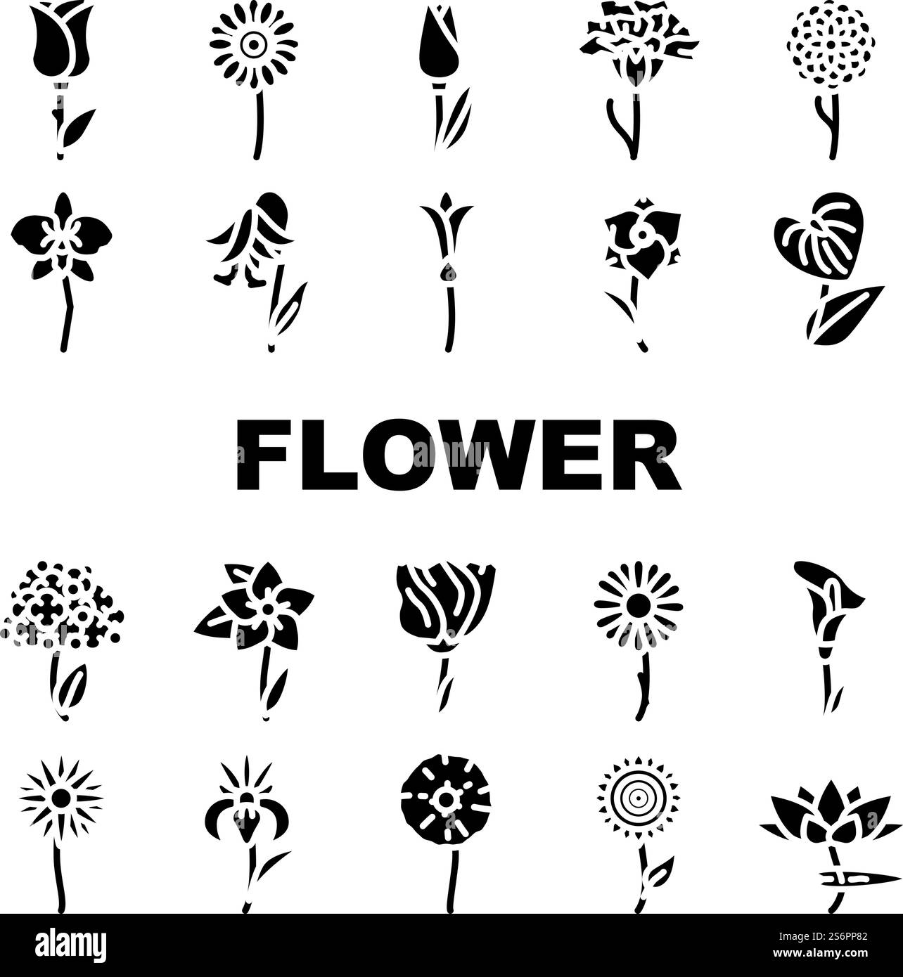 Flower Natural Aromatic Plant Icons Set Vector. Rose And Iris ...