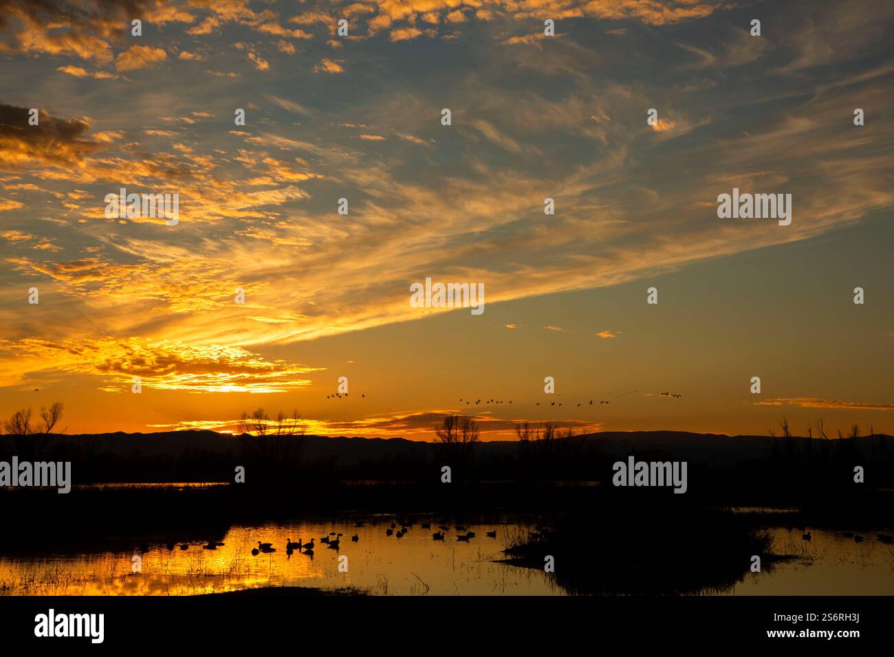 Colusa hi-res stock photography and images - Alamy