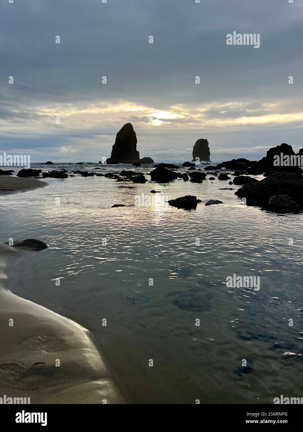 Nature’s stunning artistry at low tide along the Pacific coast. - Smartphone Captured Stock Image