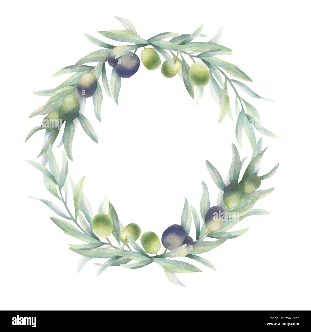 Olive tree branch with fruit and green leaves. Watercolor round wreath ...