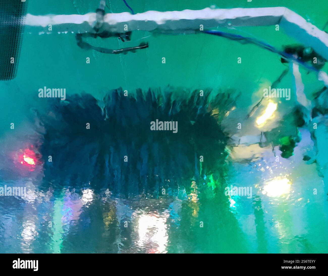Windshield passing through a car wash Stock Photo