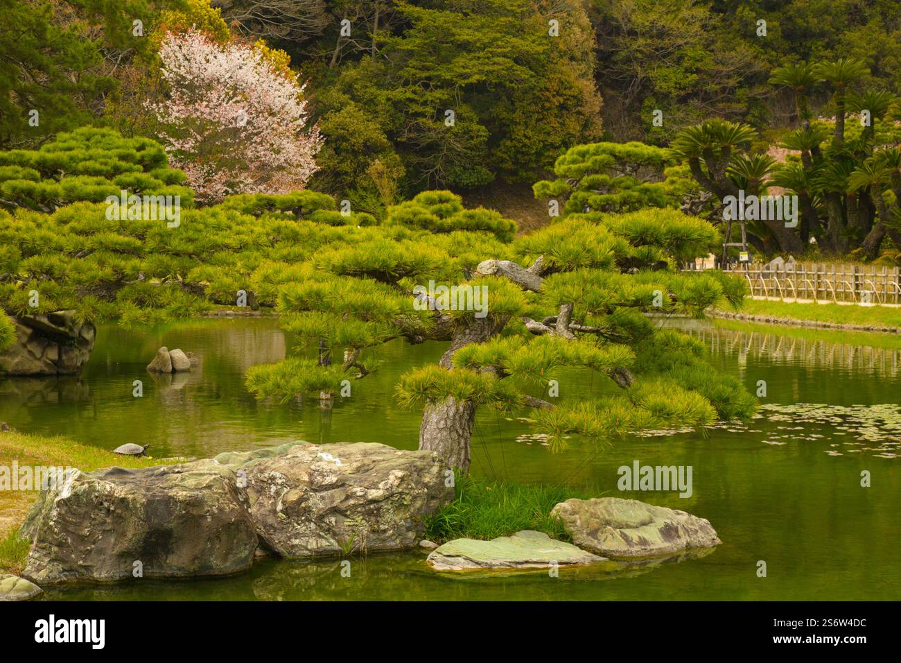 Japan, Shikoku, Takamatsu, Ritsurin-koen, garden Stock Photo