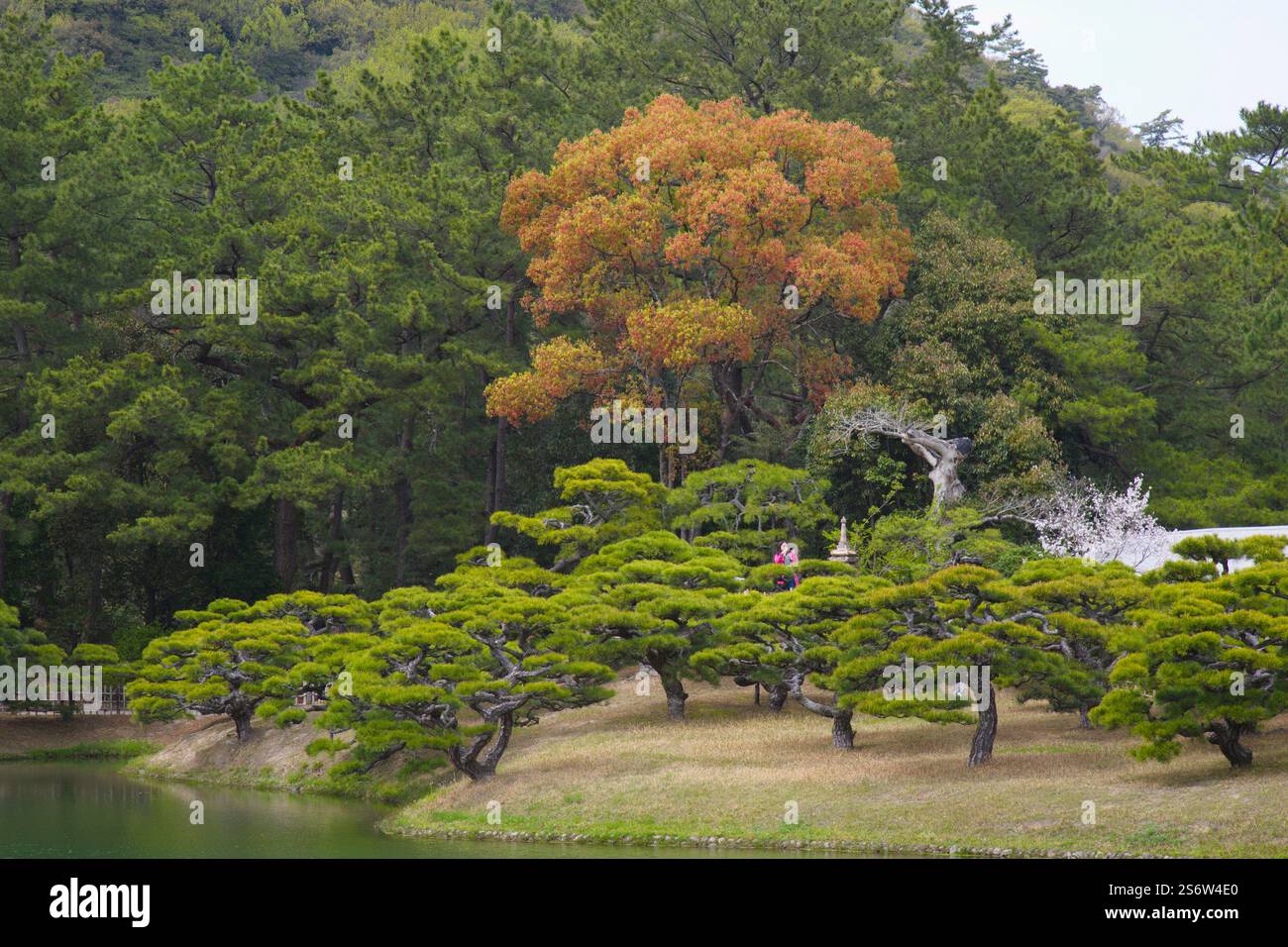 Japan, Shikoku, Takamatsu, Ritsurin-koen, garden Stock Photo
