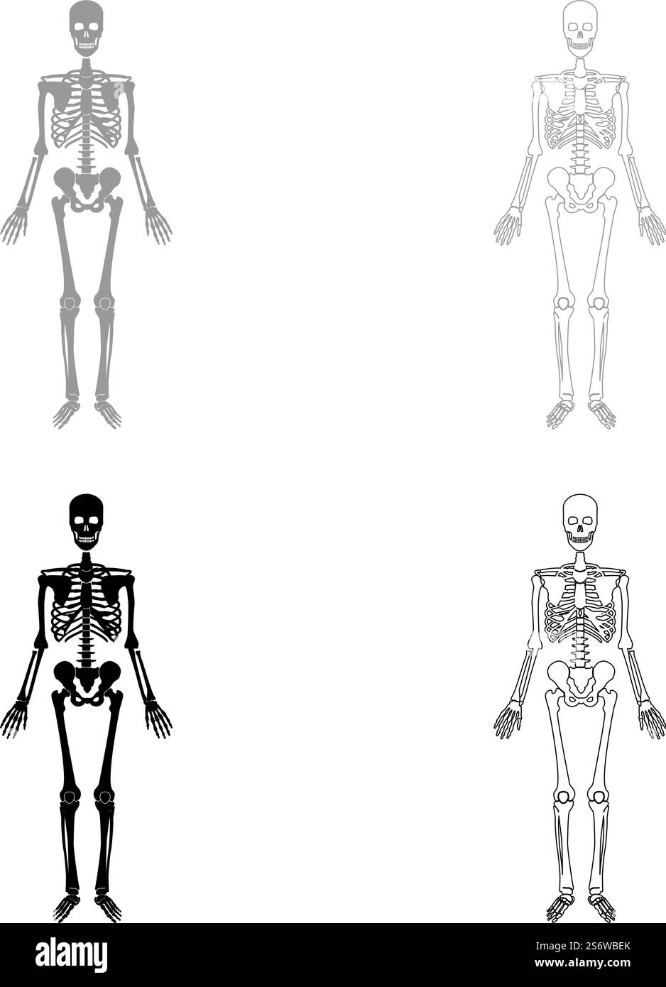 Skeleton human set icon grey black color vector illustration image