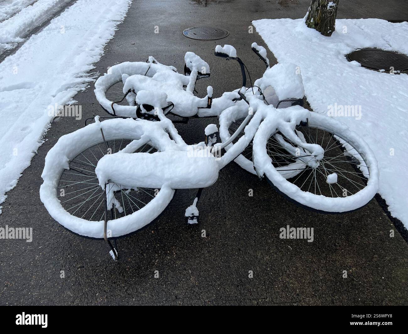 Snow in Koriyama, Fukushima, japan, December, 2024 - Smartphone Captured Stock Image