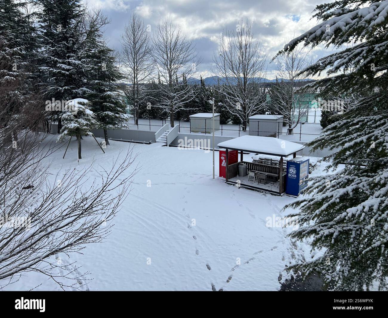 Snow in Koriyama, Fukushima, japan, December, 2024 - Smartphone Captured Stock Image