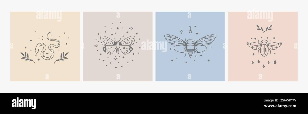 Boho logo design. Geometry line insects, mystic symbols with stars. Magic delicate icons, bohemian prints. Nature snake, beetle, butterfly, vector design. Illustration of insect boho tattoo drawing. Boho logo design. Geometry line insects, mystic symbols with stars. Magic delicate style icons, bohemian prints. Nature snake, beetle, butterfly, decorative vector design Stock Vector