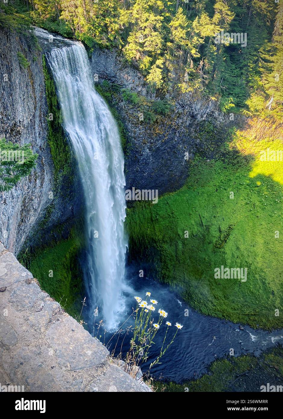 Salt Creek Falls in Oregon on a sunny summer day. - Smartphone Captured Stock Image