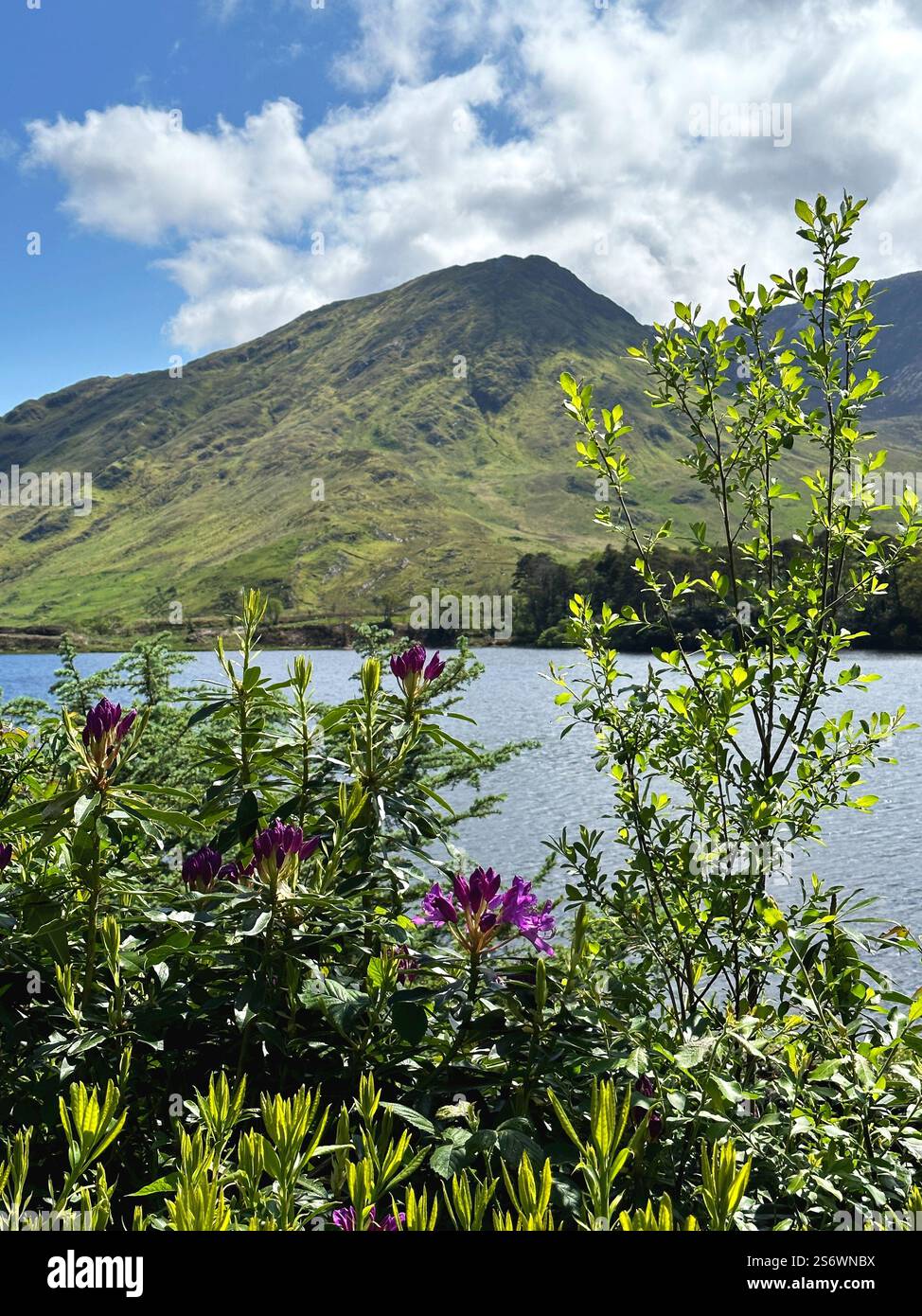 Connemara National Park in County Galway, Ireland, on a beautiful spring day. - Smartphone Captured Stock Image