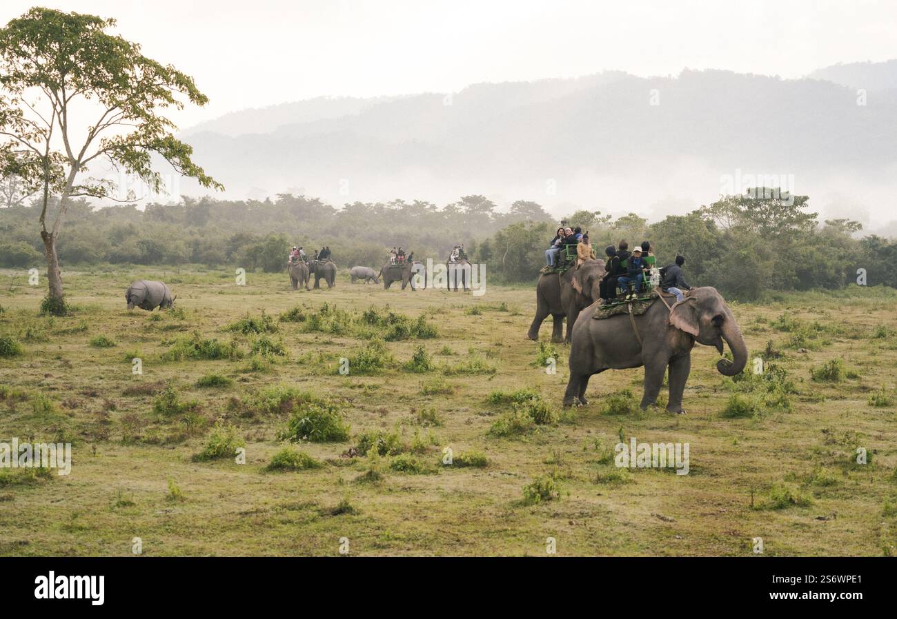 Tourists ride elephants during a safari at Kaziranga National Park on ...