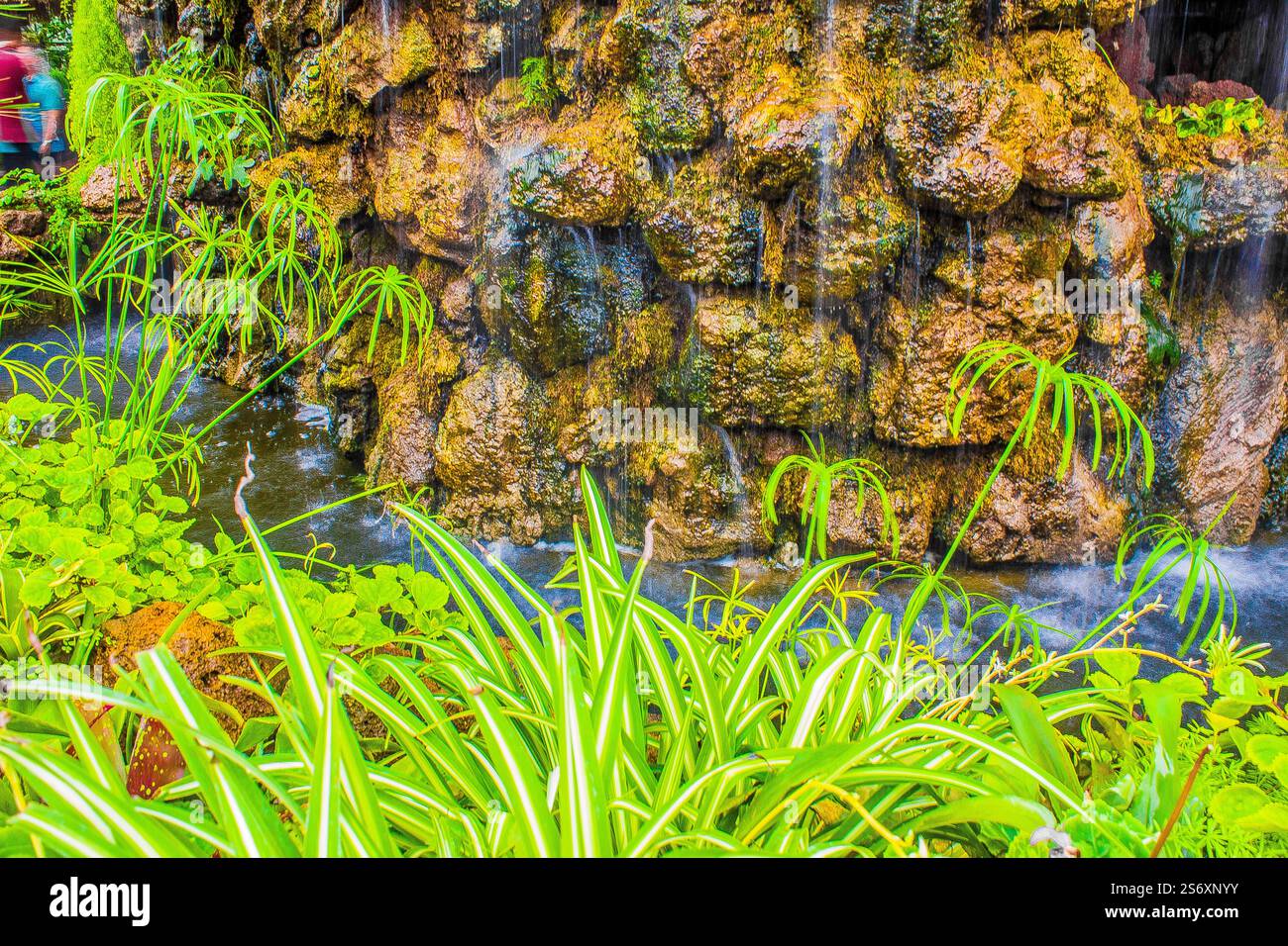This is flower garden. That is a best place to see each flower from all over the world. All of beauty of 4he world is here in spring season. Stock Photo