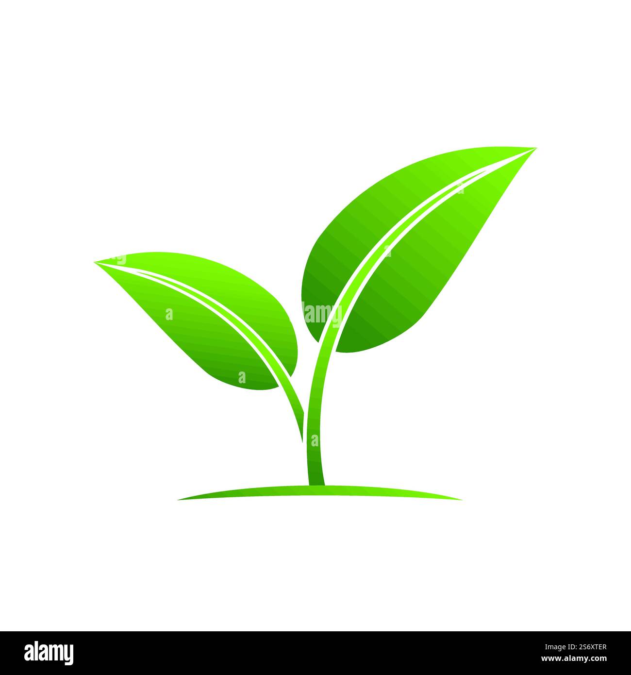 Green leaf illustration nature logo design Stock Vector Image & Art - Alamy