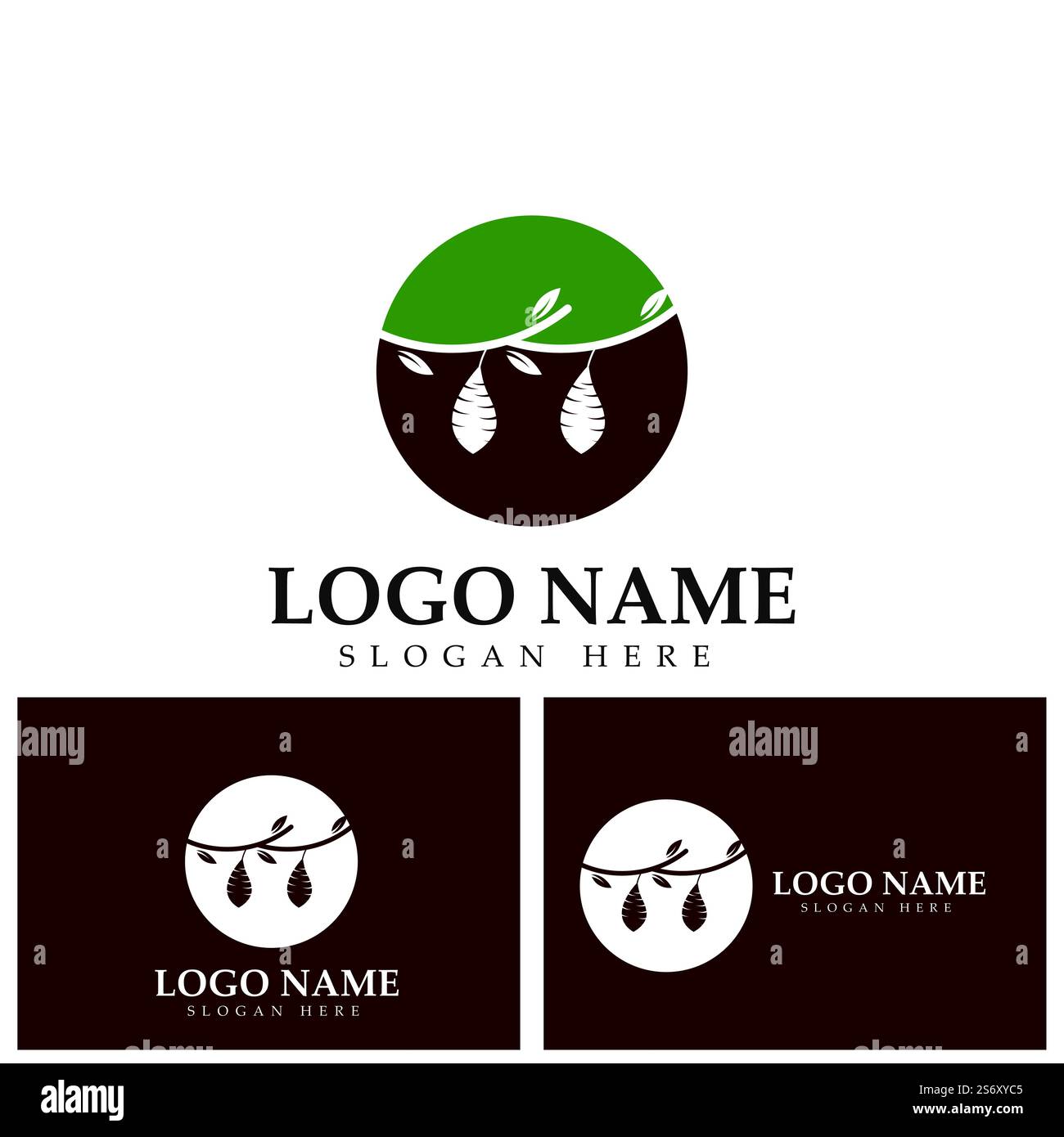 Cocoon logo template vector icon illustration design Stock Vector