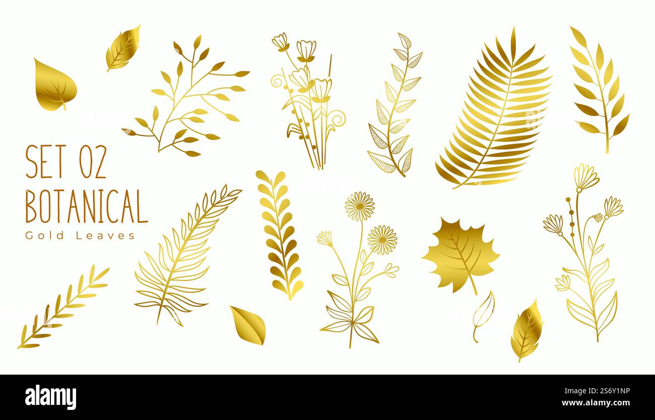 collection of golden premium leaves elements Stock Vector Image & Art ...