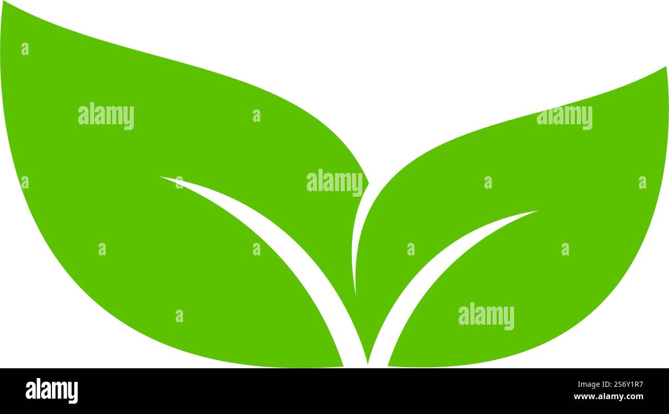 Green leaf illustration nature logo design Stock Vector Image & Art - Alamy
