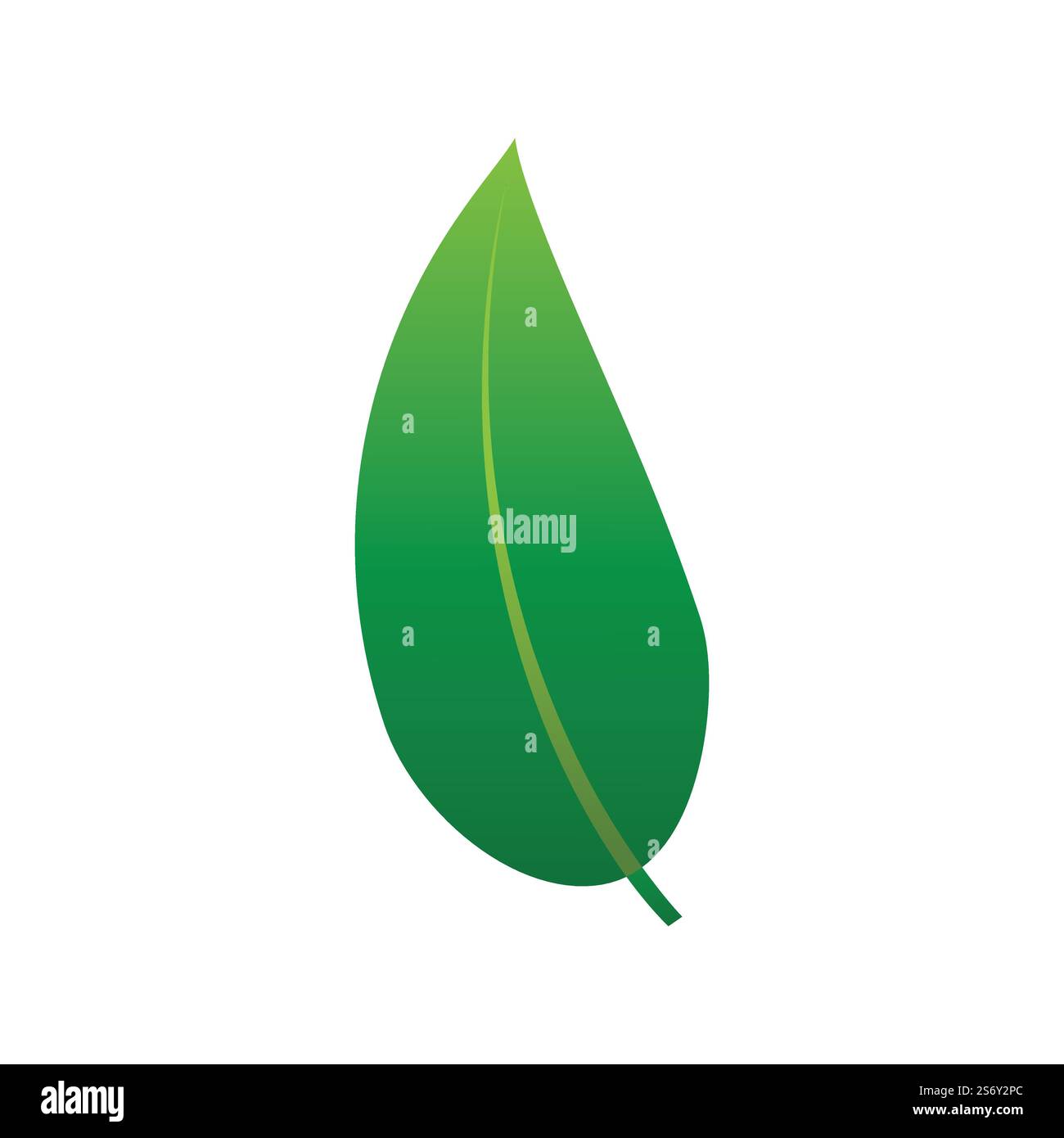 Green leaf illustration nature logo design Stock Vector Image & Art - Alamy