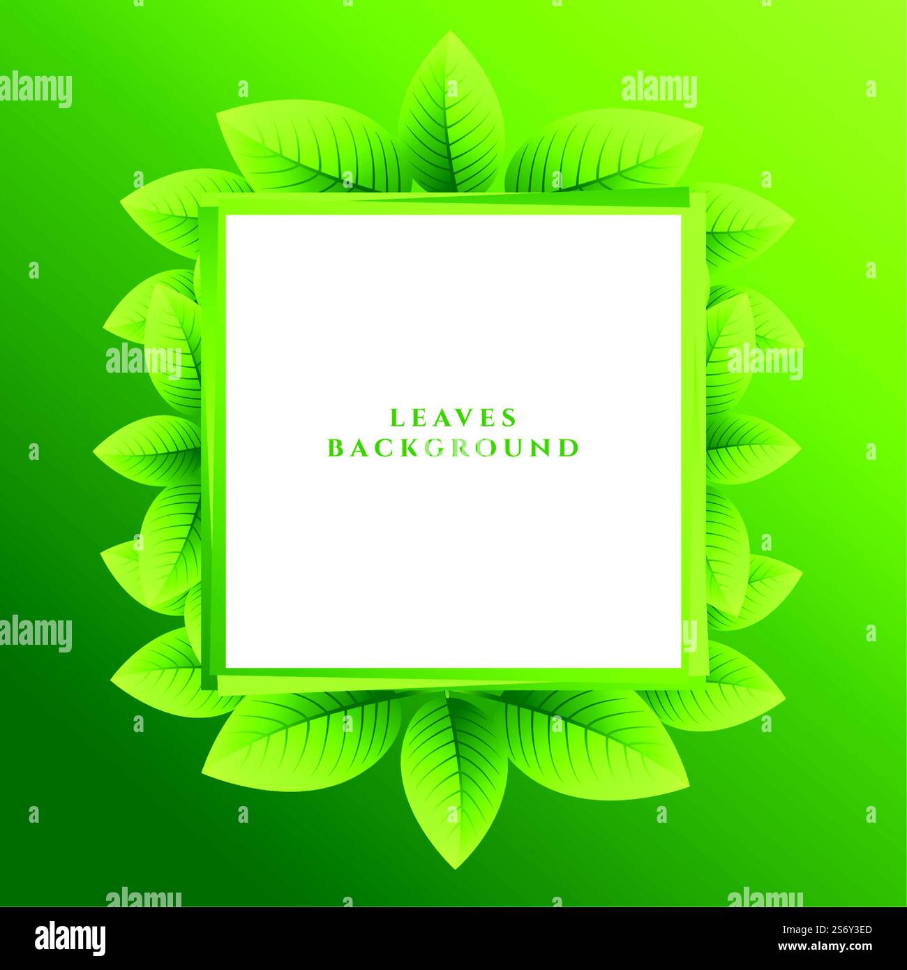 green leaves eco background with text frame Stock Vector Image & Art ...