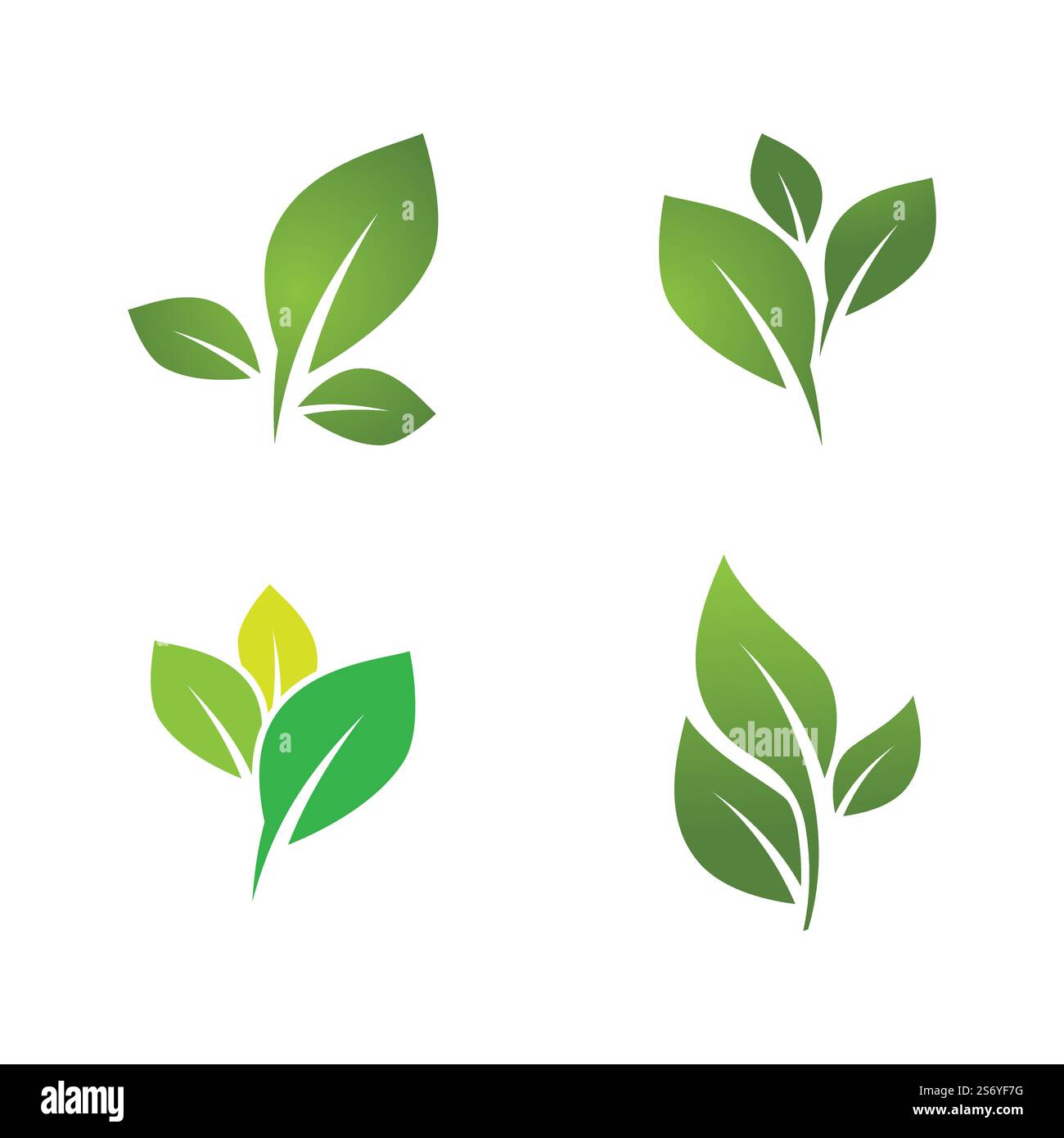 Logos of green leaf ecology nature element vector Stock Vector Image ...