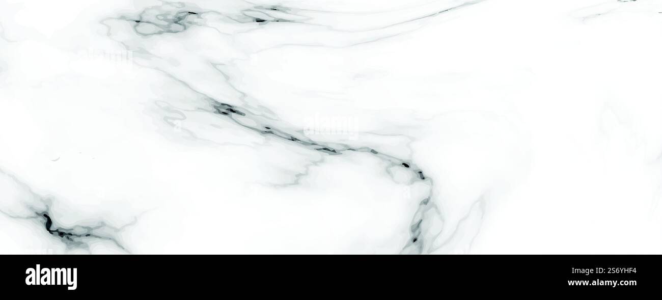 elegant gray white marble pattern texture Stock Vector
