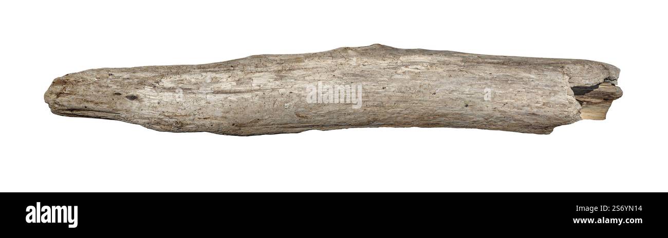 Old dry tree branch isolated on white cut out Stock Photo - Alamy