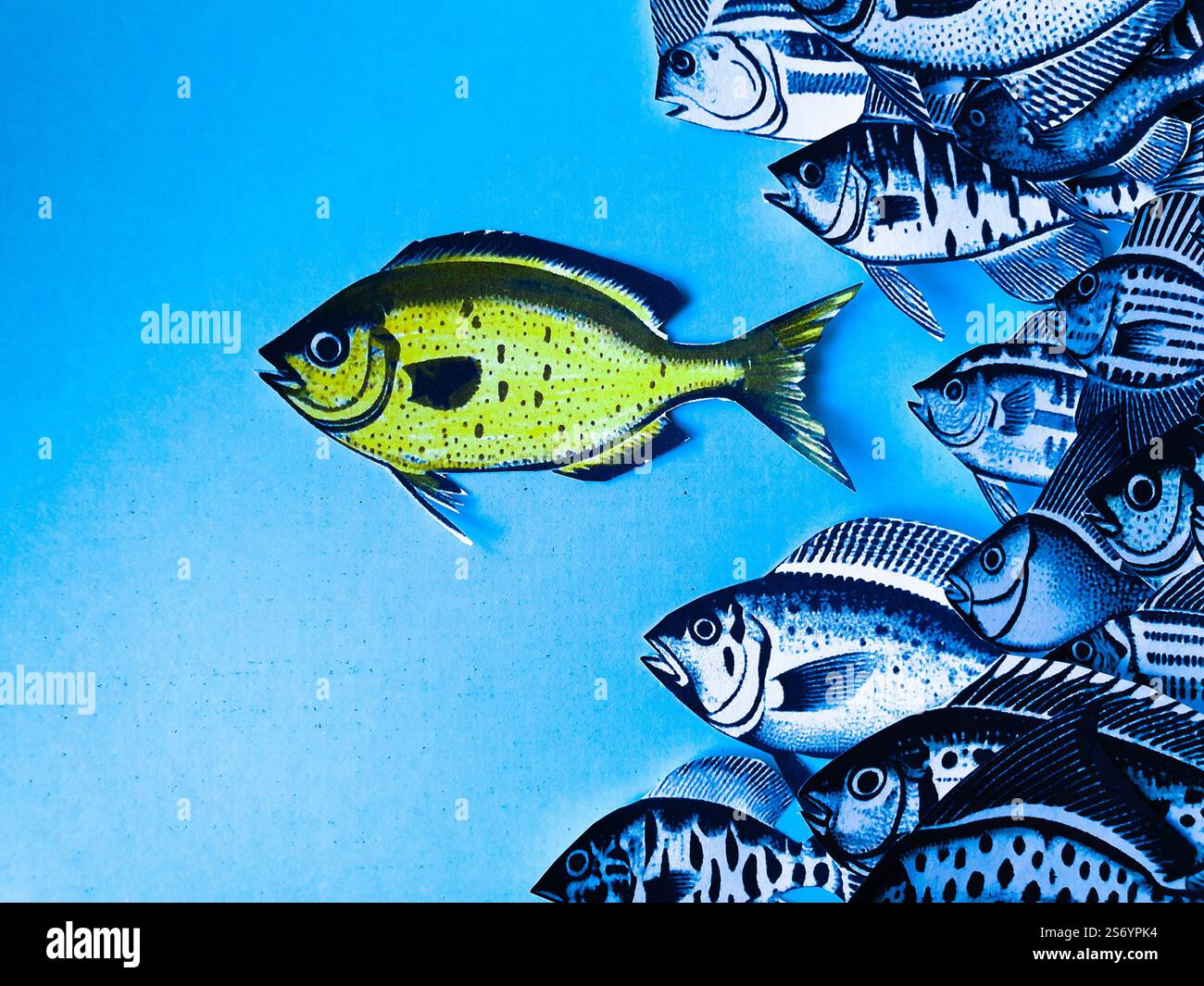 Conceptual collage art of a fish being followed by many other fish ...