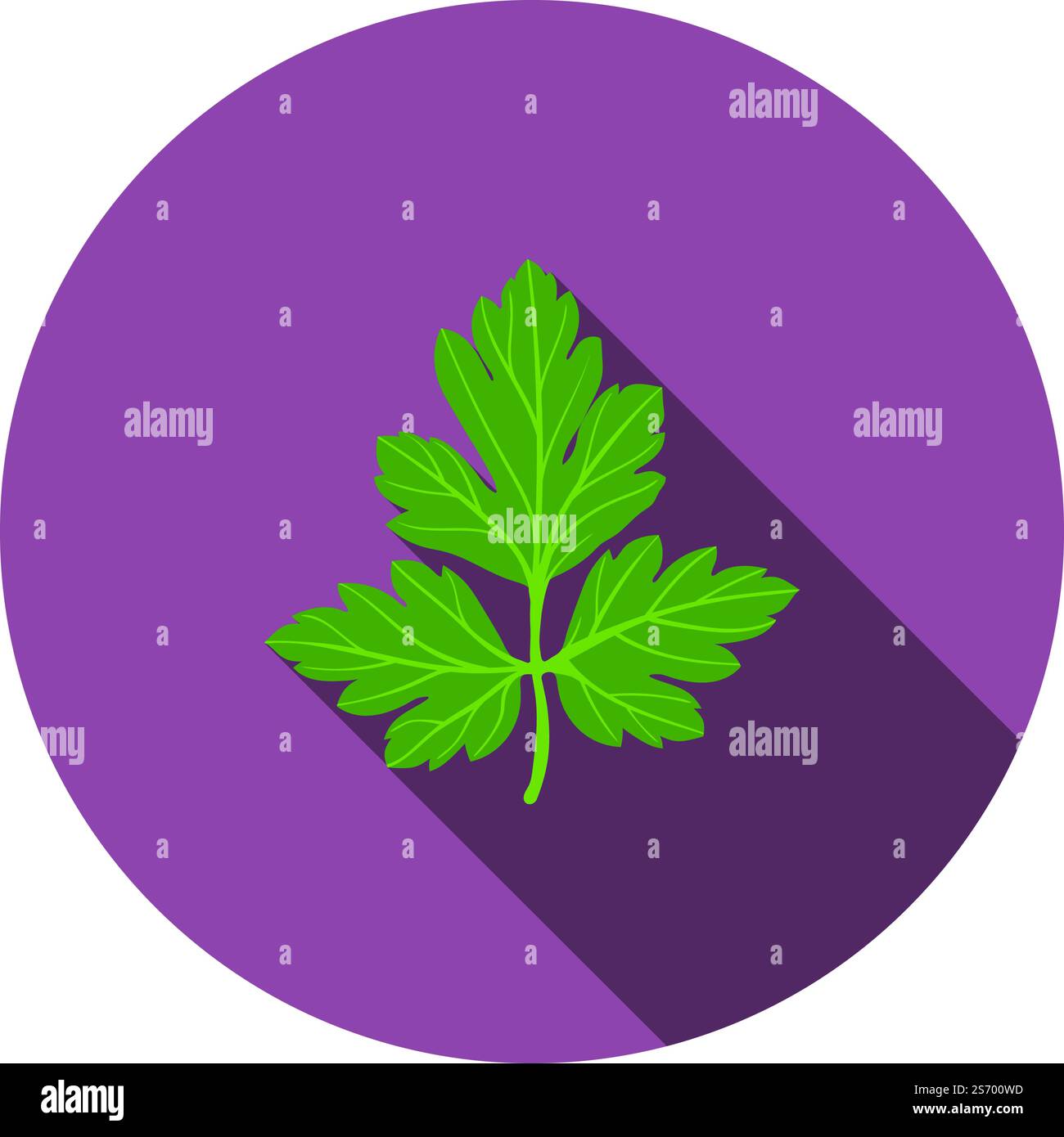 Parsley Icon. Flat Circle Stencil Design With Long Shadow. Vector Illustration. Stock Vector