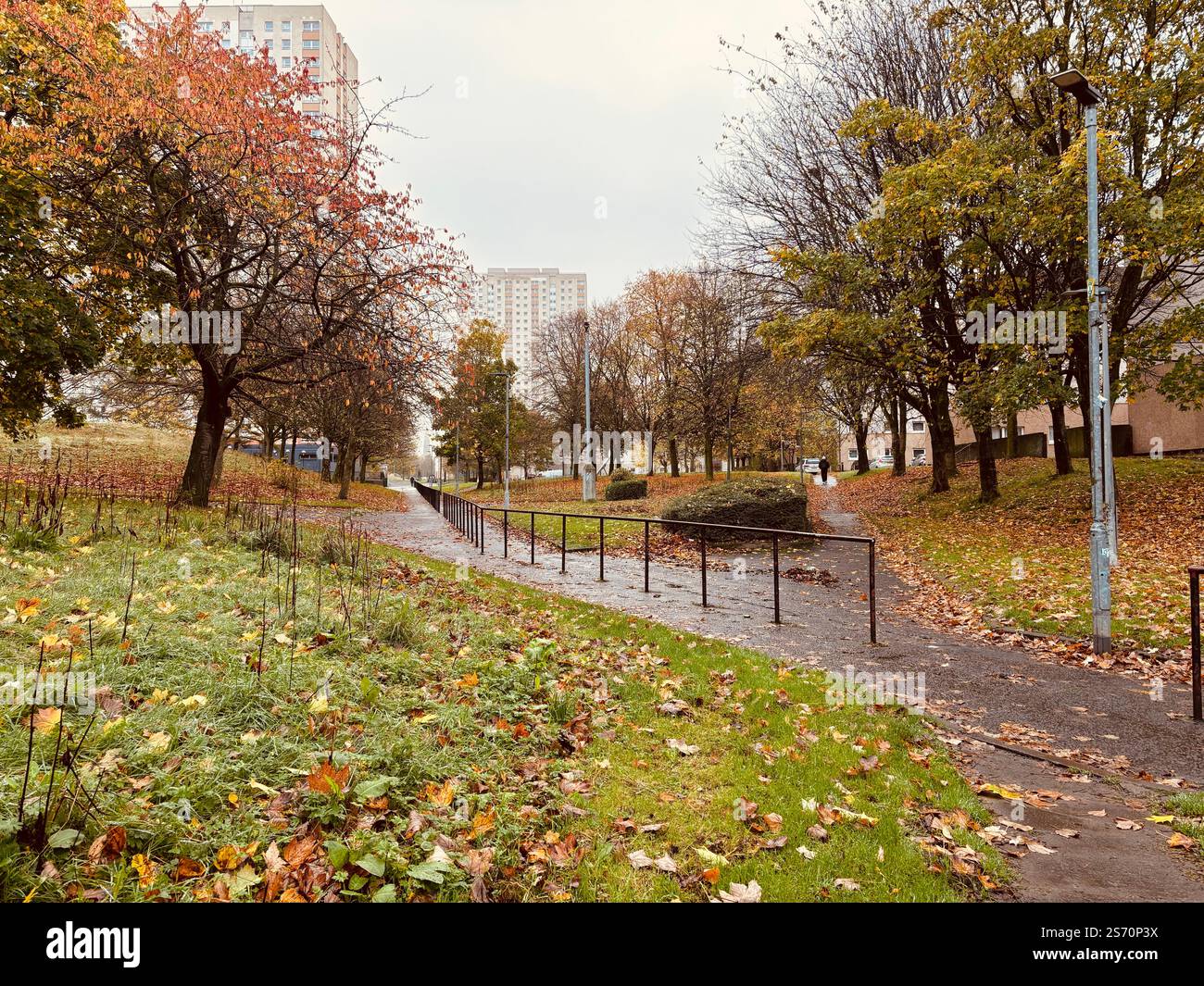 A peaceful autumn path winds through an urban park, offering a moment of tranquility in the city of Glasgow - Smartphone Captured Stock Image