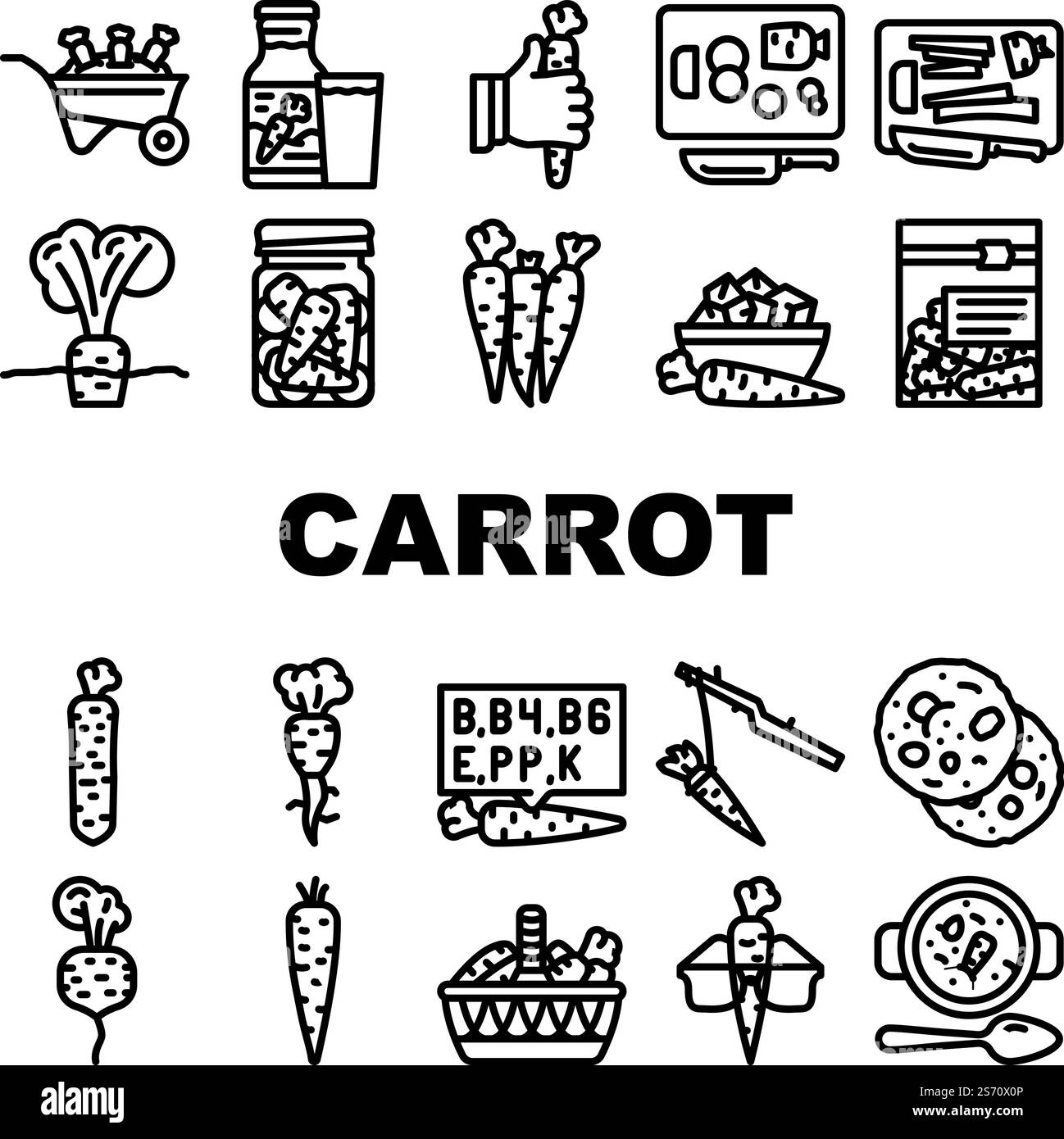 Single root organic red Black and White Stock Photos & Images - Alamy