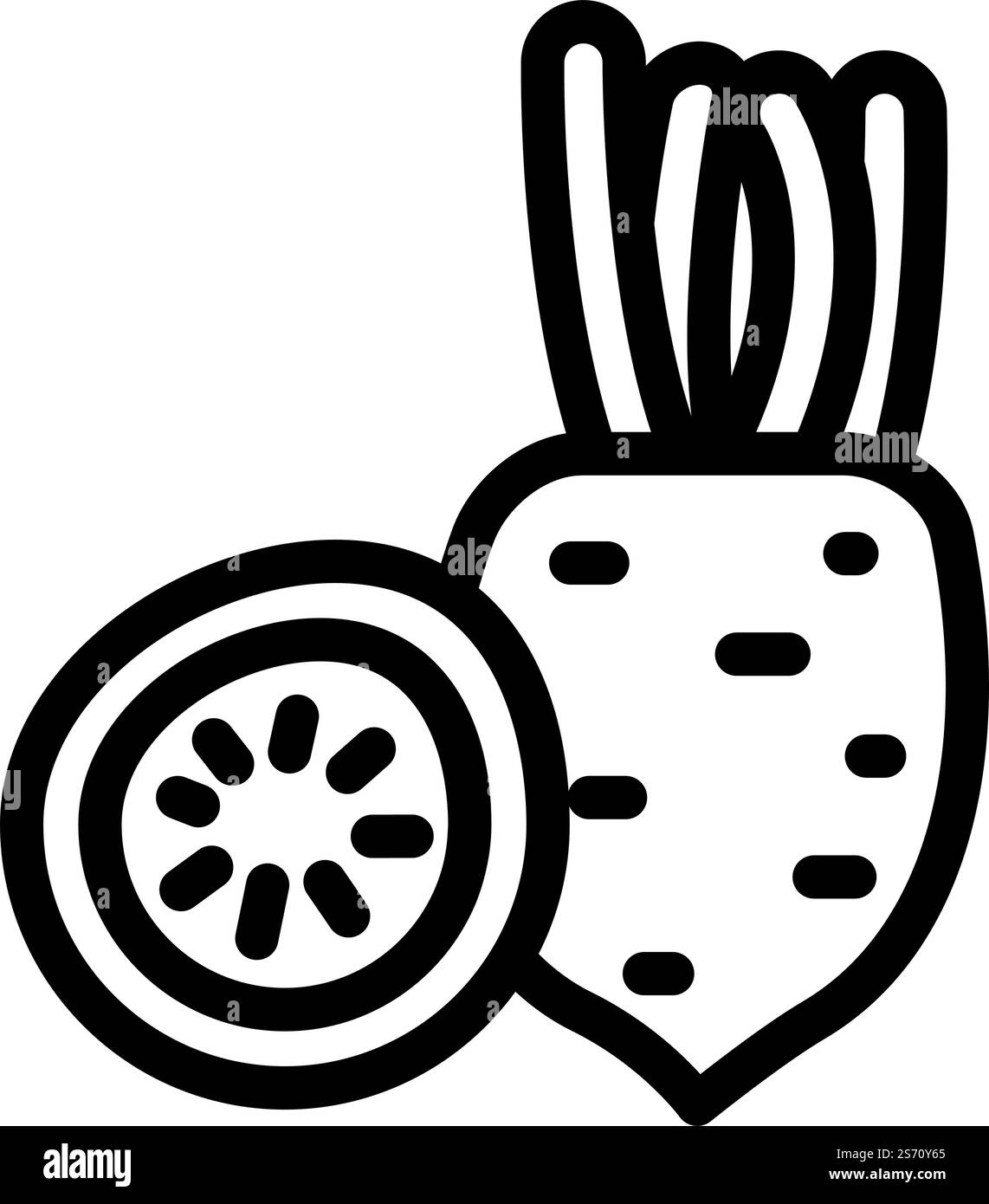 Red radishes in black Stock Vector Images - Alamy